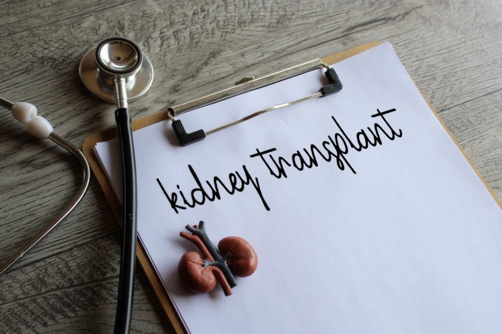 Transplantacija slika 3